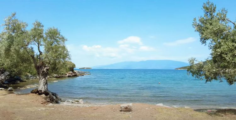 Από την τυρόπιτα στην ενέδρα μίσους