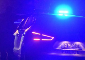 Εντοπίστηκαν 1.650 δενδρύλλια κάνναβης σε δασική περιοχή στα Ιωάννινα