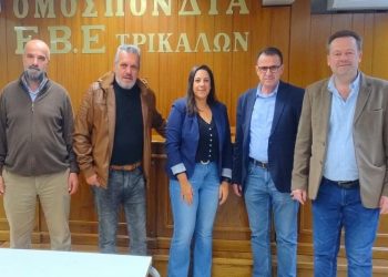 Κατέγραψε τα προβλήματα των Τρικαλινών ΕΒΕ αντιπροσωπεία του Κινήματος Δημοκρατίας