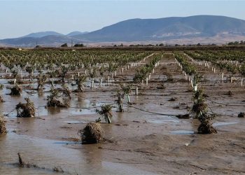 Κέλλας: Mέχρι τέλος Οκτωβρίου οι αποζημιώσεις στους Θεσσαλούς αγρότες