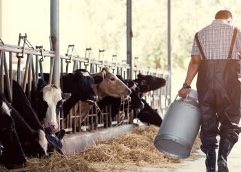 Βρέθηκε ζωντανός ο αγνοούμενος 53χρονος κτηνοτρόφος – Απειλούσε να βάλει τέλος στη ζωή του