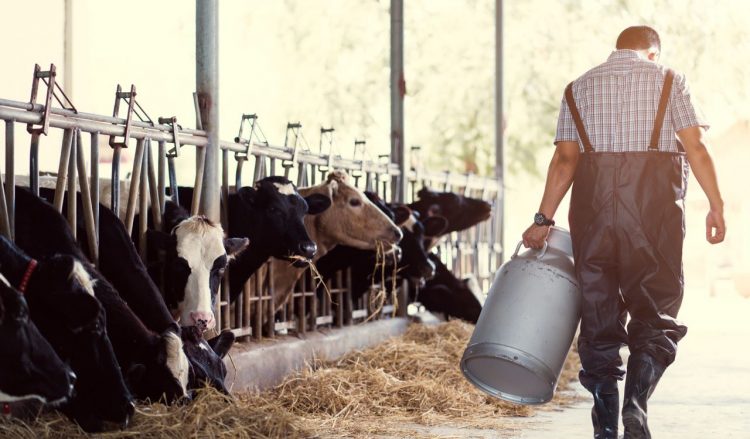 Βρέθηκε ζωντανός ο αγνοούμενος 53χρονος κτηνοτρόφος – Απειλούσε να βάλει τέλος στη ζωή του