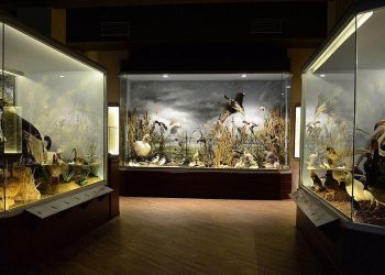 Θέσεις εργασίας στο Μύλο των Ξωτικών προσφέρει το Μουσείο Φυσικής Ιστορίας Μετεώρων
