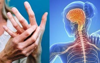 Γιατροί προειδοποιούν: Αuτά τα 7 τρόφιμα σώζουν το ήπαρ ρίχνουν τα ένζυμα και προστατεύουν την υγεία σου