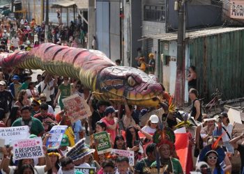 COP30: Έκοψαν 100.000 δέντρα για τη Σύνοδο Κορυφής για το Κλίμα;