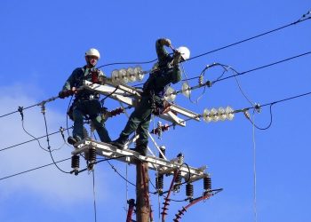 Ένα πουλί προκάλεσε μπλακ άουτ στη μισή πόλη της Λάρισας το πρωί της Τετάρτης! – Πλήθος απεγκλωβισμών από την Πυροσβεστική