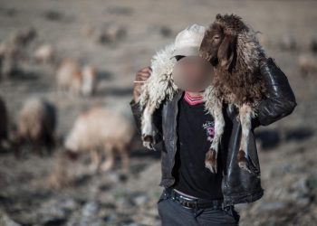 Βοσκός «τα έτσουξε», κατέρρευσε και του έφυγαν τα ζώα… Κινητοποιήθηκε η αστυνομία