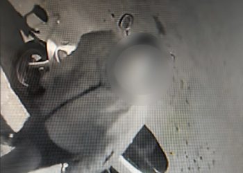 Τον πιο …παράξενο κλέφτη «παγίδευσε» κάμερα – Η επική αντίδραση του ιδιοκτήτη του καταστήματος (ΕΙΚΟΝΑ – ΒΙΝΤΕΟ)