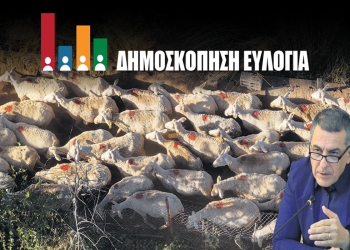 Δημοσκόπηση GPO: «Ψηφίζουν» εμβολιασμό των αιγοπροβάτων – Το 71,2% συμφωνεί με την πρόταση του Δημ. Κουρέτα