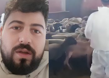 Φαρκαδόνα: Μια ολόκληρη οικογένεια έμεινε άνεργη μετά τη θανάτωση 600 ζώων τους (ΒΙΝΤΕΟ)