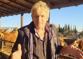 Γιατί ακριβαίνει το μοσχαρίσιο κρέας; – Ένας Θεσσαλός κτηνοτρόφος εξηγεί… (ΒΙΝΤΕΟ)