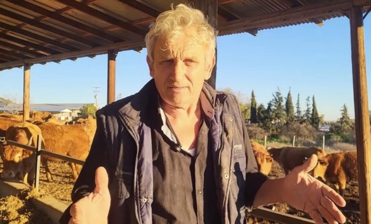 Γιατί ακριβαίνει το μοσχαρίσιο κρέας; – Ένας Θεσσαλός κτηνοτρόφος εξηγεί… (ΒΙΝΤΕΟ)