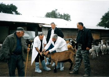 Μπάμπης Δεληλίγκας: Πρέπει η πολιτεία να μαγειρεύει πριν πεινάσει ο κτηνοτρόφος   