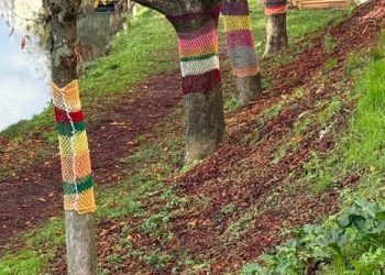 Εκθεση πλεκτών… δέντρων στον Ληθαίο ποταμό, από το ΚΔΑΠ «ΟΜΟΝΟΙΑ» του Δ. Τρικκαίων