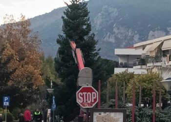 Καλαμπάκα: Δείτε το μεγάλο χριστουγεννιάτικο δένδρο που τοποθετήθηκε στην Πλατεία Δημουλά – Στις 28 Νοεμβρίου η φωταγώγησή του (ΕΙΚΟΝΕΣ)