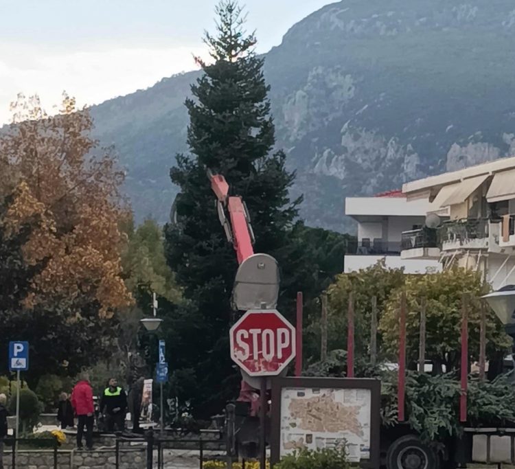 Καλαμπάκα: Δείτε το μεγάλο χριστουγεννιάτικο δένδρο που τοποθετήθηκε στην Πλατεία Δημουλά – Στις 28 Νοεμβρίου η φωταγώγησή του (ΕΙΚΟΝΕΣ)