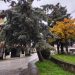Δήμος Μετεώρων: Απομάκρυνση επικίνδυνων δέντρων από την πλατεία Μητέρας
