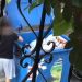 Στο κατώφλι του Ανακριτή ξανά 14χρονος: «Ψάχνουμε στα σκουπίδια για φαγητό» – Συγκλονίζει η απολογία του