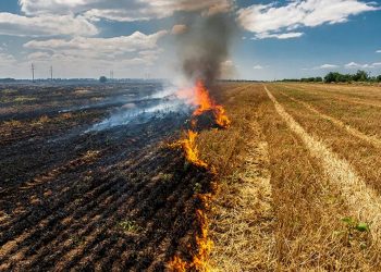Ξέφυγαν….οι αγρότες με την καύση υπολειμμάτων γεωργικών καλλιεργειών