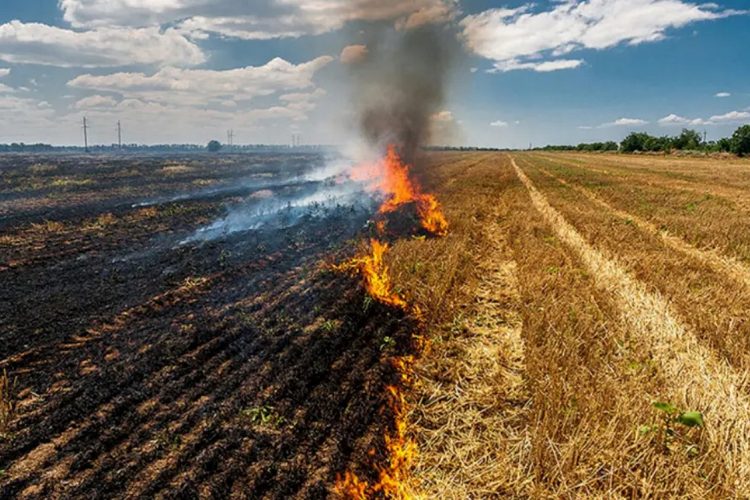Ξέφυγαν….οι αγρότες με την καύση υπολειμμάτων γεωργικών καλλιεργειών