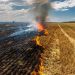 Ξέφυγαν….οι αγρότες με την καύση υπολειμμάτων γεωργικών καλλιεργειών
