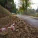 Τρίκαλα: Μετ’ …ελαφρών εμποδίων η κίνηση σε τμήμα της οδού Προφήτη Ηλία (ΕΙΚΟΝΕΣ)