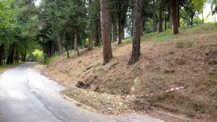 Τρίκαλα: Μετ’ …ελαφρών εμποδίων η κίνηση σε τμήμα της οδού Προφήτη Ηλία (ΕΙΚΟΝΕΣ)