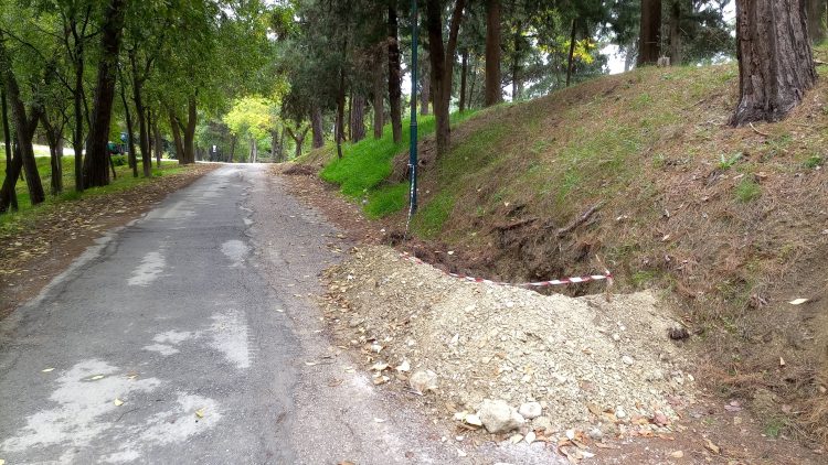 Τρίκαλα: Μετ’ …ελαφρών εμποδίων η κίνηση σε τμήμα της οδού Προφήτη Ηλία (ΕΙΚΟΝΕΣ)