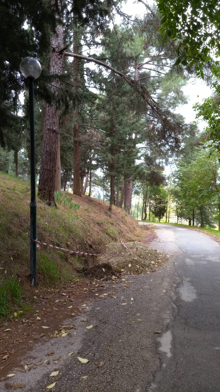 Τρίκαλα: Μετ’ …ελαφρών εμποδίων η κίνηση σε τμήμα της οδού Προφήτη Ηλία (ΕΙΚΟΝΕΣ)