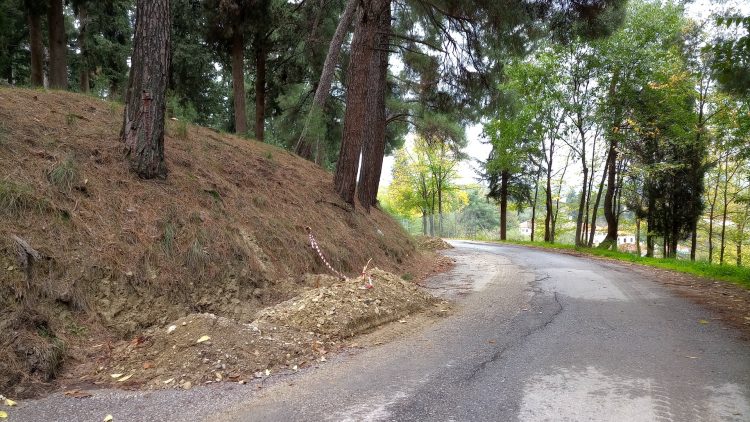 Τρίκαλα: Μετ’ …ελαφρών εμποδίων η κίνηση σε τμήμα της οδού Προφήτη Ηλία (ΕΙΚΟΝΕΣ)