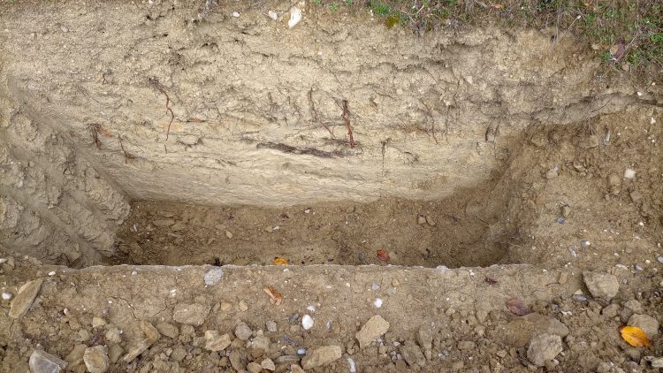 Τρίκαλα: Μετ’ …ελαφρών εμποδίων η κίνηση σε τμήμα της οδού Προφήτη Ηλία (ΕΙΚΟΝΕΣ)