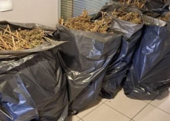 Κάθειρξη 10 ετών σε Θεσσαλό – Έκρυβε 38 κιλά χασίς μέσα σε σακούλες σκουπιδιών