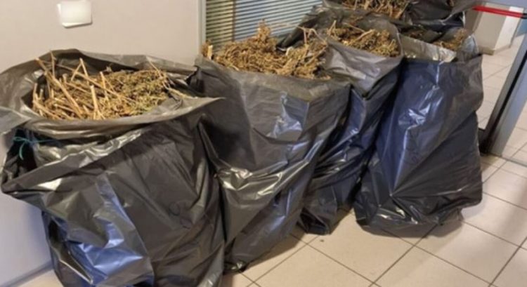 Κάθειρξη 10 ετών σε Θεσσαλό – Έκρυβε 38 κιλά χασίς μέσα σε σακούλες σκουπιδιών