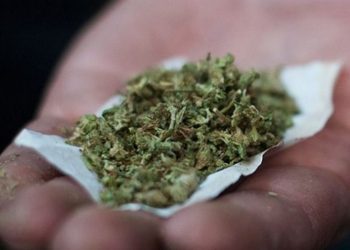 Συνελήφθη Τρικαλινός με ακατέργαστη κάνναβη – Τι ποσότητα είχε στην κατοχή του