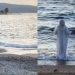 Παράξενο τελετουργικό σε παραλία του Βόλου: Βίντεο νεαρής κοπέλας κάνει τον γύρο του διαδικτύου