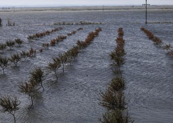 Η ΚΥΑ για το φυτικό κεφάλαιο στη Θεσσαλία για τις ζημιές από το «Ντάνιελ» – Τα ποσά ανά καλλιέργεια – Η απόφαση αφορά και την Περιφερειακή Ενότητα Τρικάλων