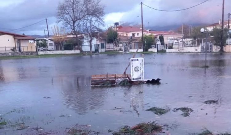 Δείτε φωτογραφίες από τα Μεσάγγαλα: Σε “πισίνα” μετατράπηκε η περιοχή – Τα… απόνερα της Κακοκαιρίας Byron