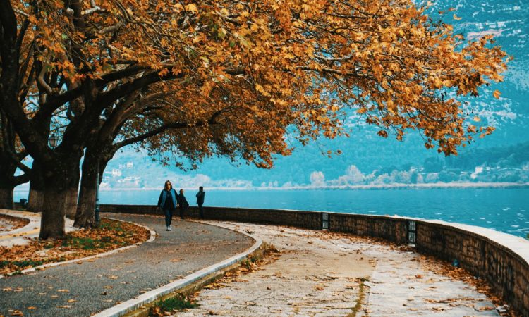 Λίμνη Παμβώτιδα: Ένα ταξίδι στην ασημένια καρδιά της Ηπείρου
