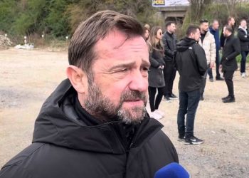 Ν. Πλακιάς για Μ. Καρυστιανού: «Τώρα θα την αντιμετωπίζουμε ως πολιτικό ή ως συγγενή θύματος;»