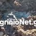 Μεσολόγγι: Αναβλύζει αίμα από το έδαφος από σημείο όπου έχουν θαφτεί αιγοπρόβατα λόγω ευλογιάς