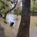 Τάμεσης έγινε ο Ληθαίος!!! (video-photo)