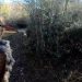 Με ιδανικές συνθήκες & πολλές συμμετοχές το Παν/νιο Πρωτάθλημα, με θήραμα μπεκάτσα, στο ΚΟΡΠ του Δ. Πύλης. Στο βάθρο ο Γ. Χαντζιάρας (ΕΙΚΟΝΕΣ – ΒΙΝΤΕΟ)