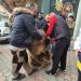Τρίκαλα: Αγρότες έριξαν σανό έξω από τα Πολιτικά Γραφεία των τοπικών “γαλάζιων” Βουλευτών (ΕΙΚΟΝΕΣ – ΒΙΝΤΕΟ)
