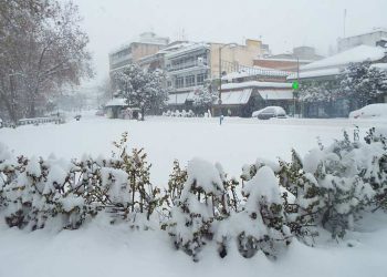Χιονόπτωση μέσα στα Τρίκαλα δίνει το meteo.gr: Ποιες ώρες θα χιονίσει – Πότε έρχεται το επόμενο «ραντεβού» με τα χιόνια εντός Ιανουαρίου Ι Έως -13oC η θερμοκρασία στα ορεινά του Νομού!