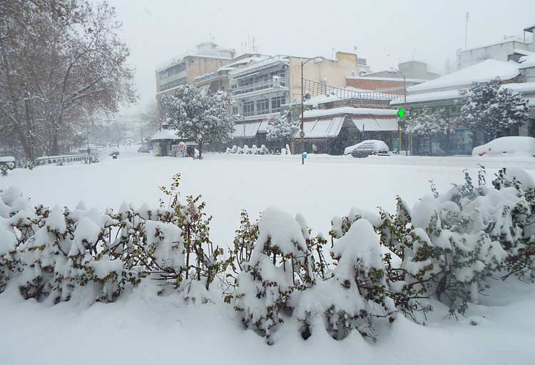 Χιονόπτωση μέσα στα Τρίκαλα δίνει το meteo.gr: Ποιες ώρες θα χιονίσει – Πότε έρχεται το επόμενο «ραντεβού» με τα χιόνια εντός Ιανουαρίου Ι Έως -13oC η θερμοκρασία στα ορεινά του Νομού!