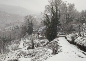 Τον μετέφεραν στα χέρια πάνω σε φορείο – Συγκλονιστική επιχείρηση μέσα στο χιόνι για καρκινοπαθή