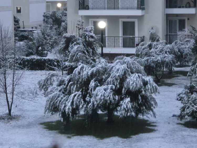 Χιόνι στα Τρίκαλα -Επιβεβαιώθηκαν οι μετεωρολογικές προβλέψεις