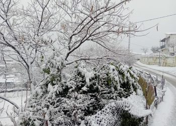 Δήμος Φαρκαδόνας: “Άσπρισε” το Διάσελλο – Σε αυξημένη ετοιμότητα ο ΟΤΑ  (ΕΙΚΟΝΕΣ)