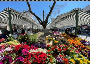 Κανονικά θα λειτουργήσουν οι λαϊκές αγορές στο Ν. Τρικάλων – Έληξε η απεργία