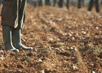Οικογένεια από τα Τρίκαλα φέρεται να εισέπραξε 1.000.000 ευρώ για υπεράριθμα ζώα